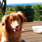 Lola in Dunsborough - 4